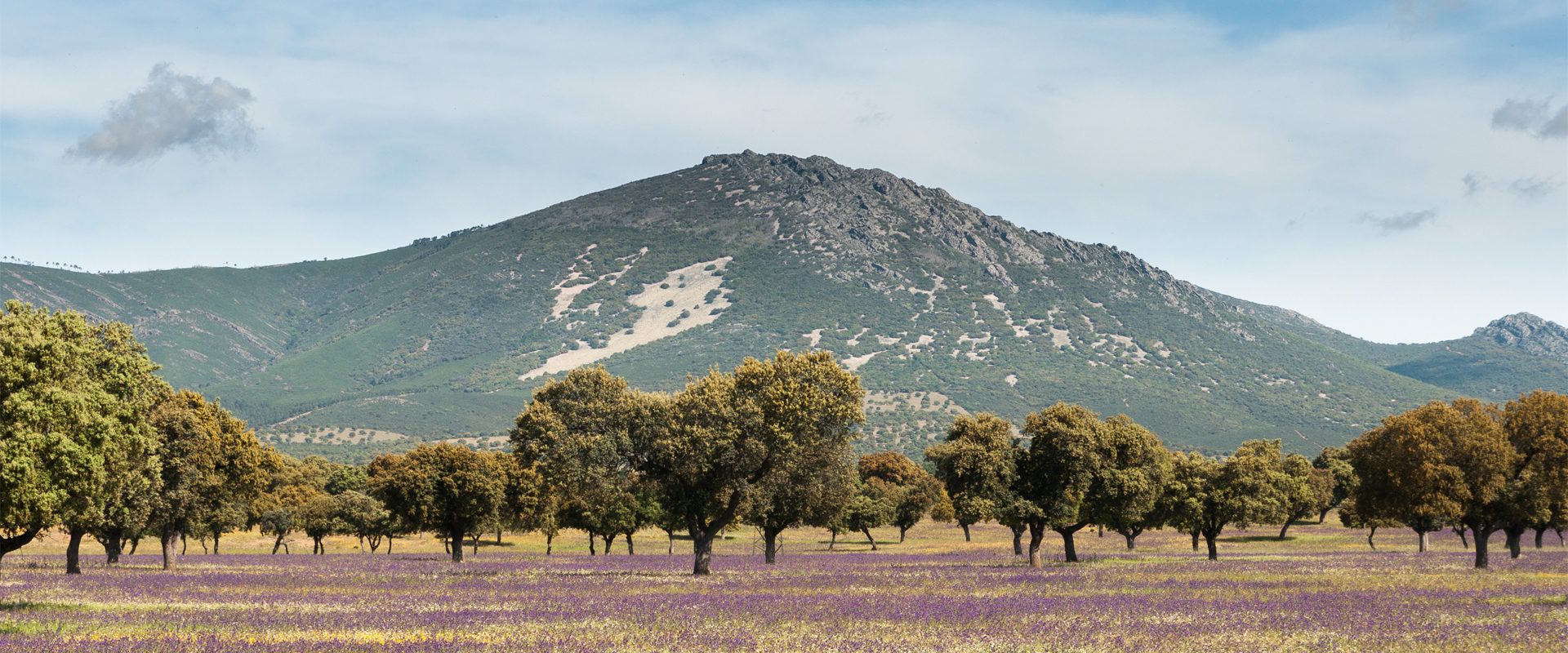 Montes de Toledo