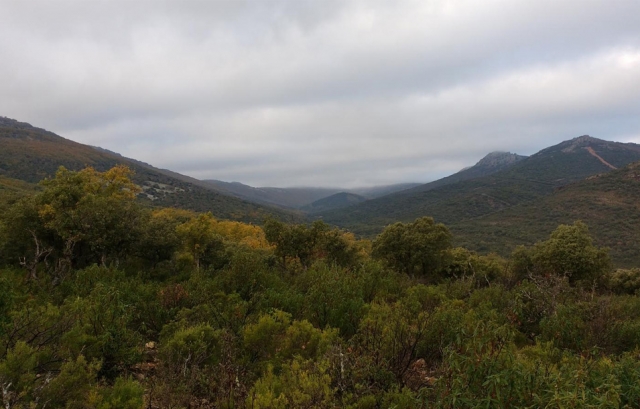 Montes de Toledo
